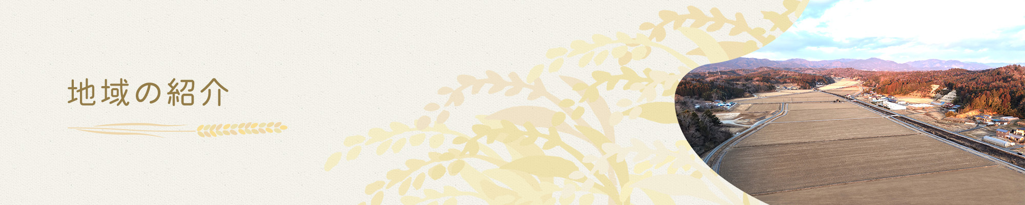 地域の紹介