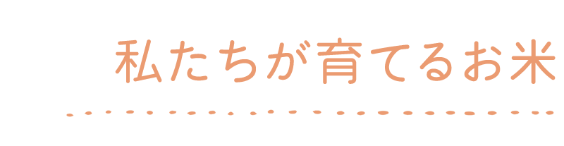 私たちが育てるお米