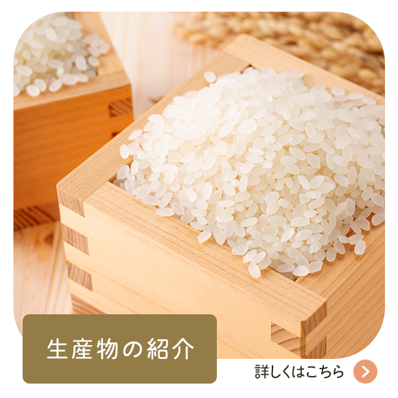 生産物の紹介