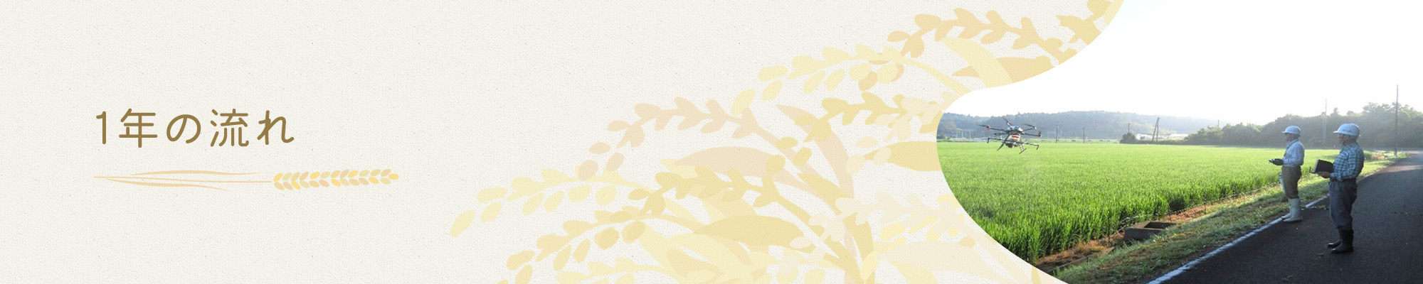 1年の流れ
