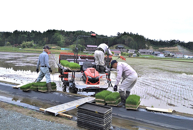 田植え補助作業