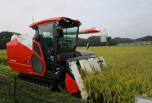 食味・収量センサー付コンバインによる収穫作業