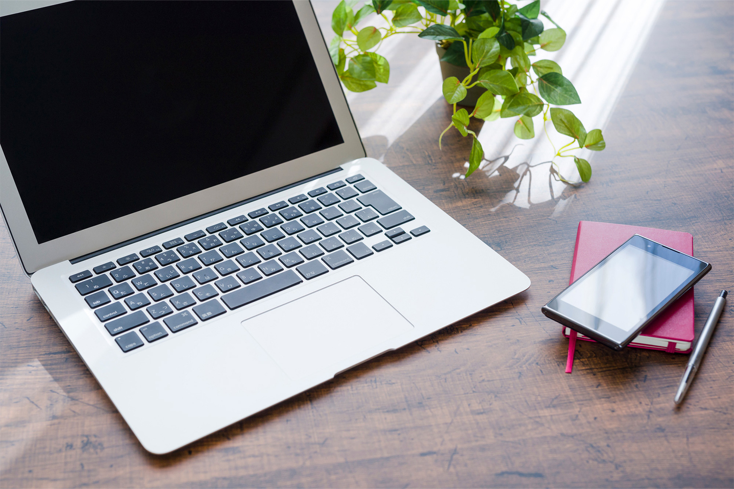 ホームページを公開しました。